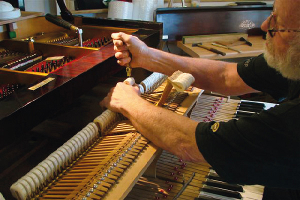 Course 'Piano Tuning for beginners'